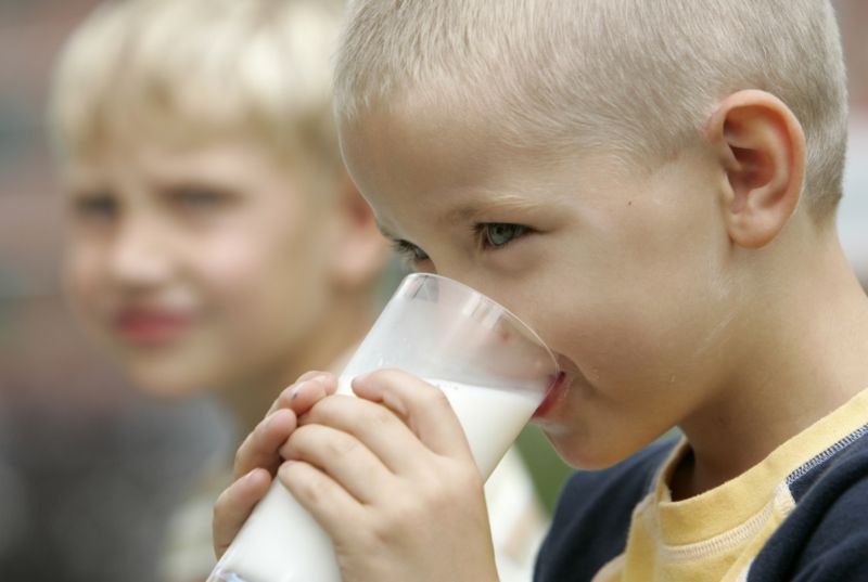 Ochucená a jogurtová mléka, která dostávají školáci, výrazně překračují doporučený obsah cukru. Ochucená a jogurtová mléka, která dostávají školáci, výrazně překračují doporučený obsah cukru.