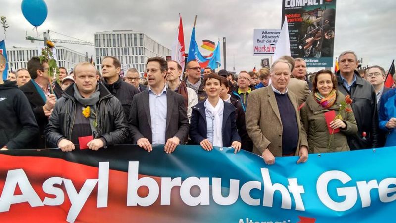 Euroskeptická strana AfD.