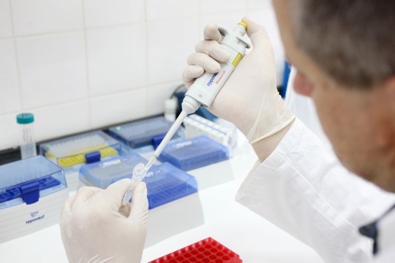 Vyvinutý čip lze použít pro čtení DNA kostřav, jílků a kříženců těchto druhů trav.