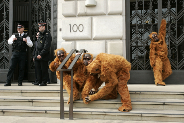 Aktivisté z Greenpeace převlečení za orangutany. Protest před budovou Unilever v Londýně, kde na ně dohlíželi policisté. Dožadovali se zastavení výroby palmového oleje v oblasti deštných pralesů a rašelinišť v Indonésii. Stále rostoucí poptávka a tlak na zavádění nových plantáží jsou vážnou hrozbou životnímu prostředí.