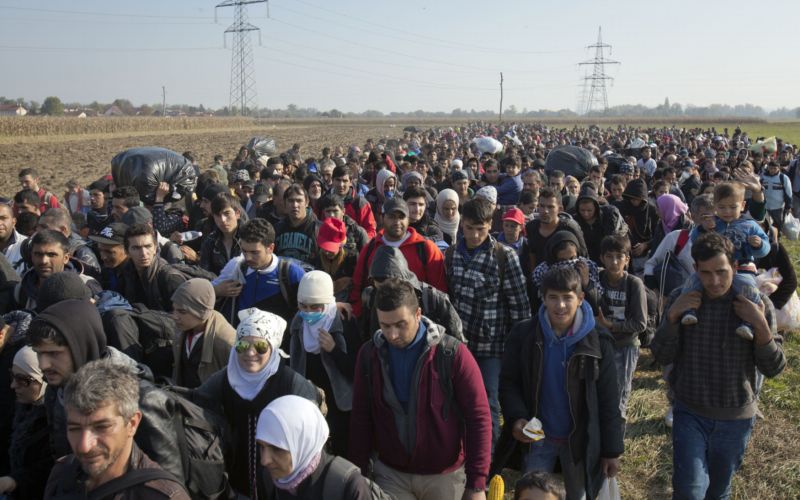 Němce děsí především migrační krize. Němce děsí především migrační krize.