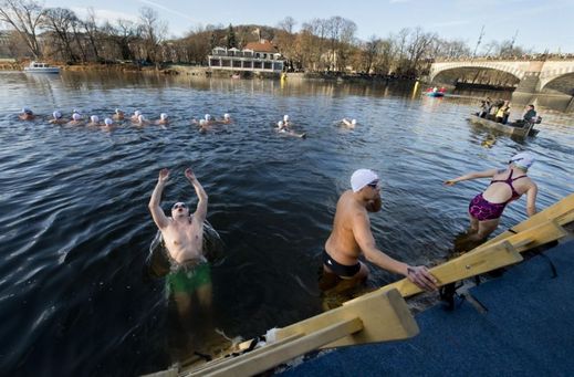 Letos si do Vltavy přišlo zaplavat 339 plavců.