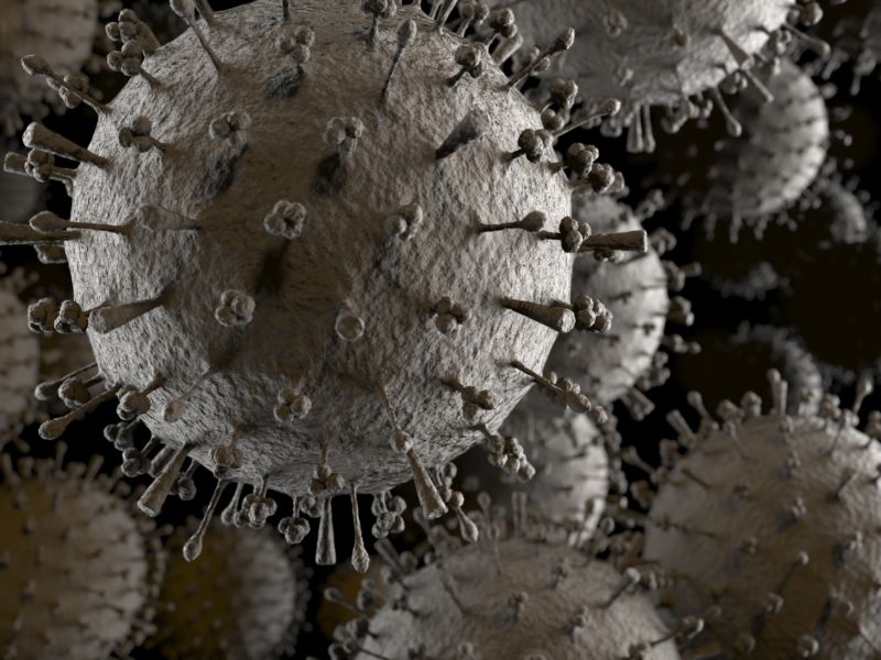 Virus H1N1 vznikl smíšením virů prasečí, lidské a ptačí chřipky. Virus H1N1 vznikl smíšením virů prasečí, lidské a ptačí chřipky.