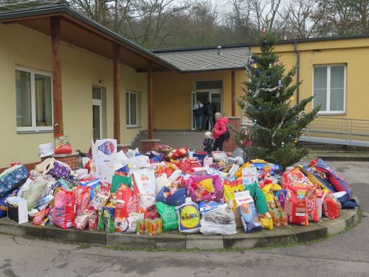 Donesené krmivo vystačí na šest měsíců, piškoty dokonce na celý rok.