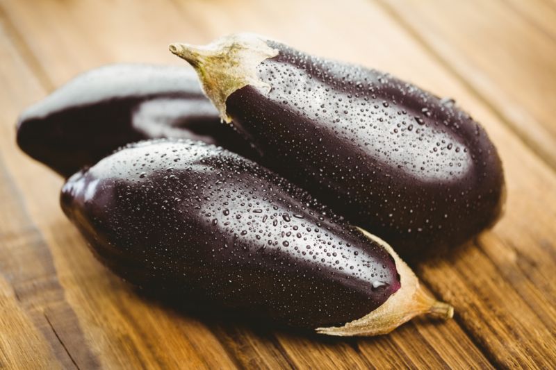Nově vyvinutá rostlina produkuje pod zemí brambory a nad zemí na ní roste lilek.
