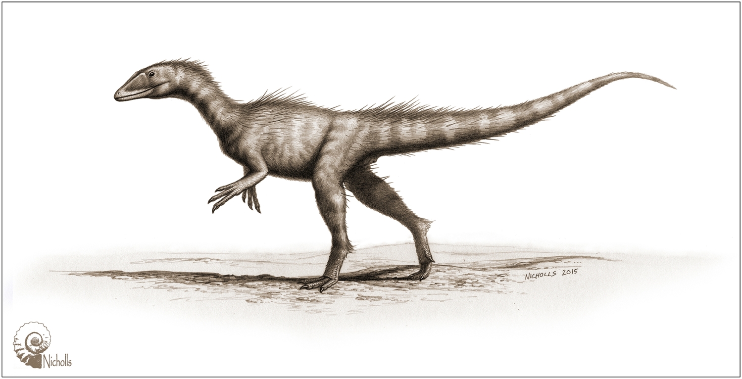 Takhle nějak mohl Dracoraptor hanigani vypadat podle profesionálního kreslíře.