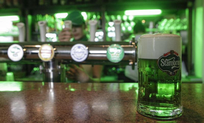 Největší várku zeleného piva chystá jako každý rok Starobrno.