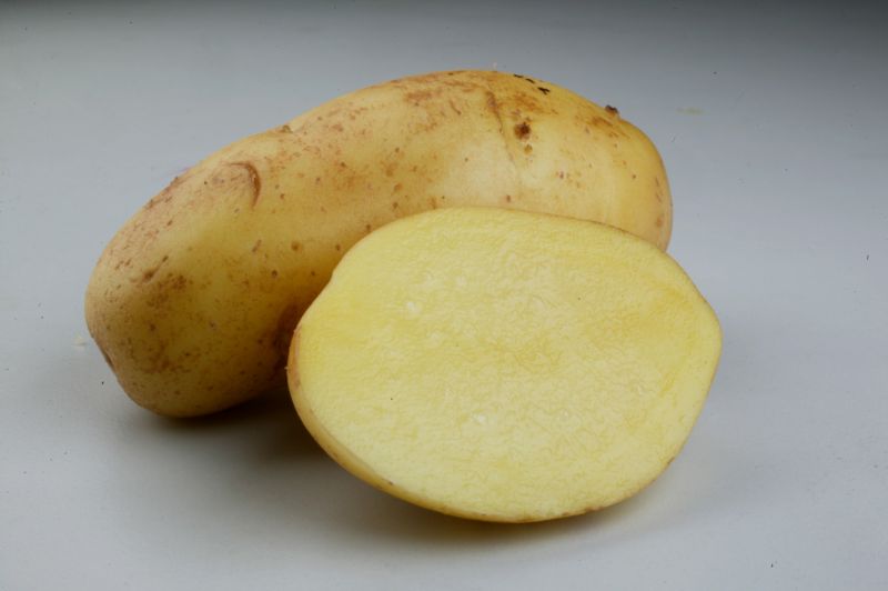 Australan díky "bramborové dietě" za pouhý měsíc zhubnul deset kilogramů.
