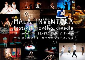 Hlavním pořadatelem festivalu je český kulturní network Nová síť.