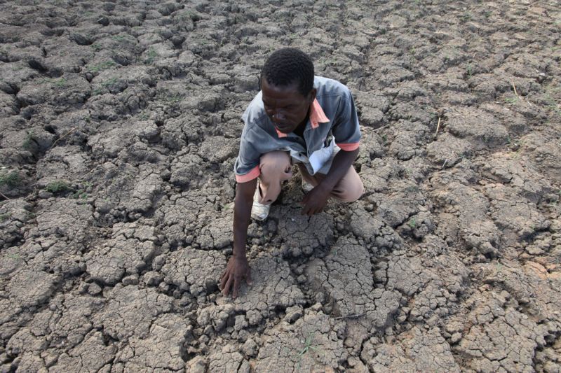 Fenomén El Niño způsobil v Africe nejhorší sucho za posledních třicet pět let.