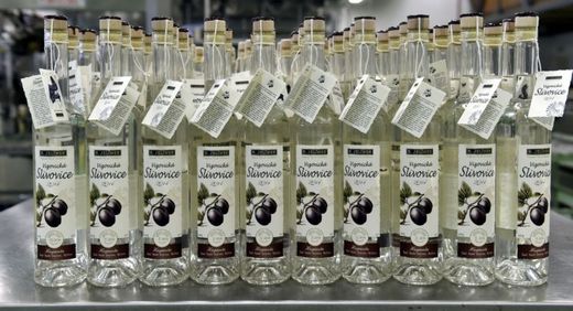 Z odrůdy Haganta bylo ručně vyrobeno více než 800 lahví slivovice.