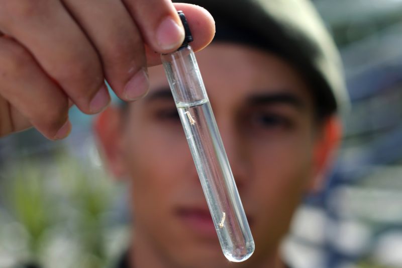Brazilský armádní voják ukazuje larvy komára rodu Aedes, přenašeče viru zika. Brazilský armádní voják ukazuje larvy komára rodu Aedes, přenašeče viru zika.