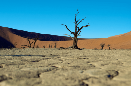 Poušť Namib.