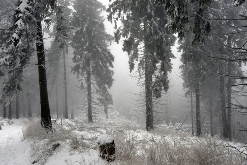 Zasněžené Beskydy (ilustrační foto).