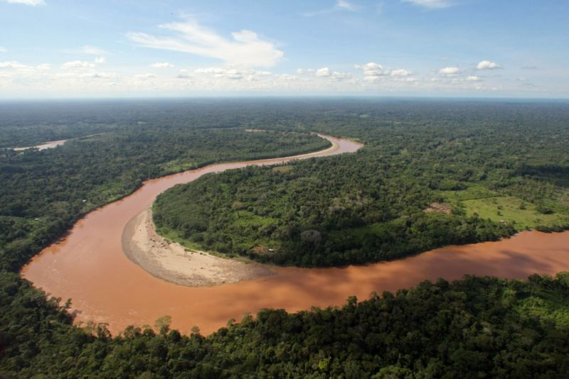 Deštný prales, Amazonie. 