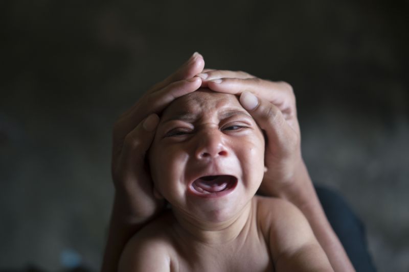 Virus zika: zbytečná panika?