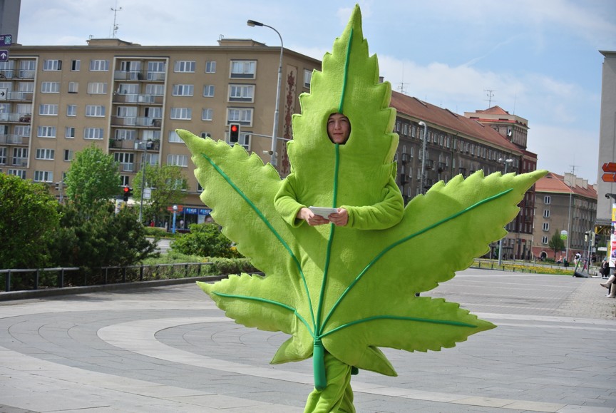 Konopný list v ulicích Prahy jako reklama na Konopné lékárny. Foto: Carun Pharmacy.