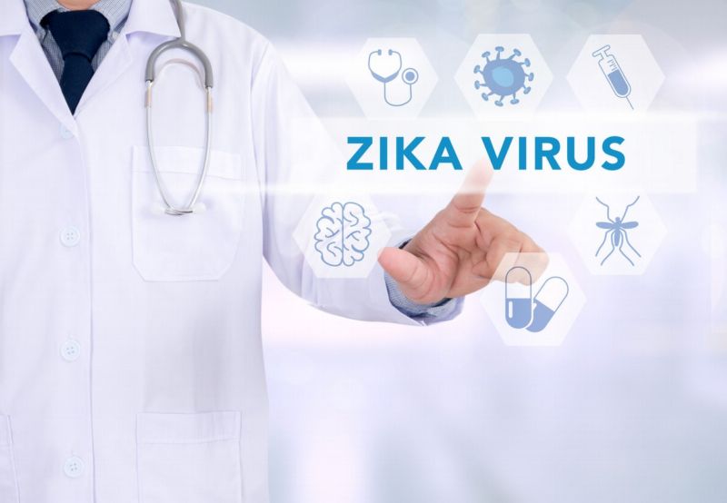 Zika (ilustrační foto).
