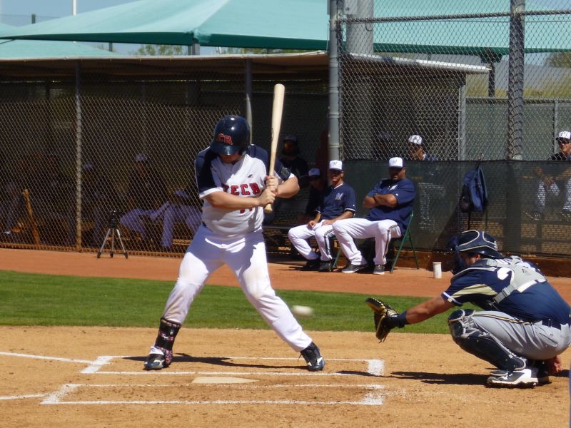 Čeští baseballisté.