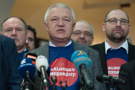 Předseda poslaneckého klubu ANO Jaroslav Faltýnek.