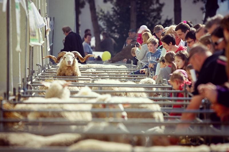 Techagro je největší zemědělský veletrh ve střední Evropě.