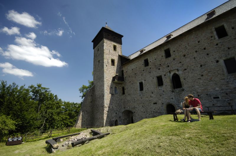 Gotický hrad Litice nad Orlicí byl založen v 13. století, za Václava II. se stal majetkem koruny.