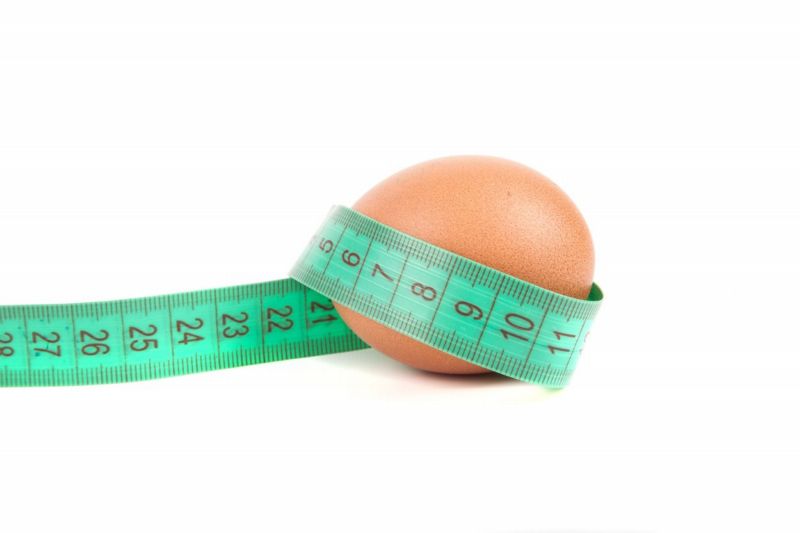 Zvýšená konzumace proteinů prý přispívá k obezitě (ilustrační foto). Zvýšená konzumace proteinů prý přispívá k obezitě (ilustrační foto).