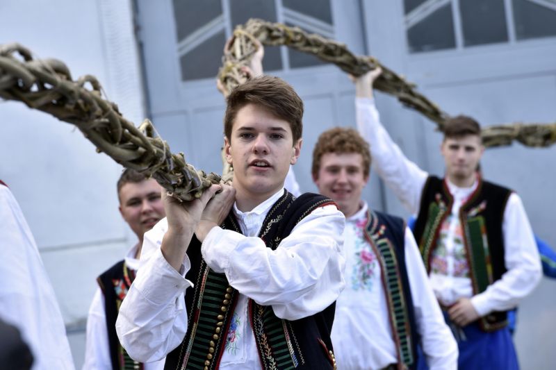 Rekordní pomlázka. Rekordní pomlázka.