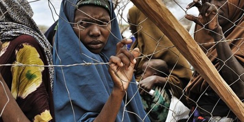 Česká humanitární pomoc se zaměří na více zemí. Česká humanitární pomoc se zaměří na více zemí.