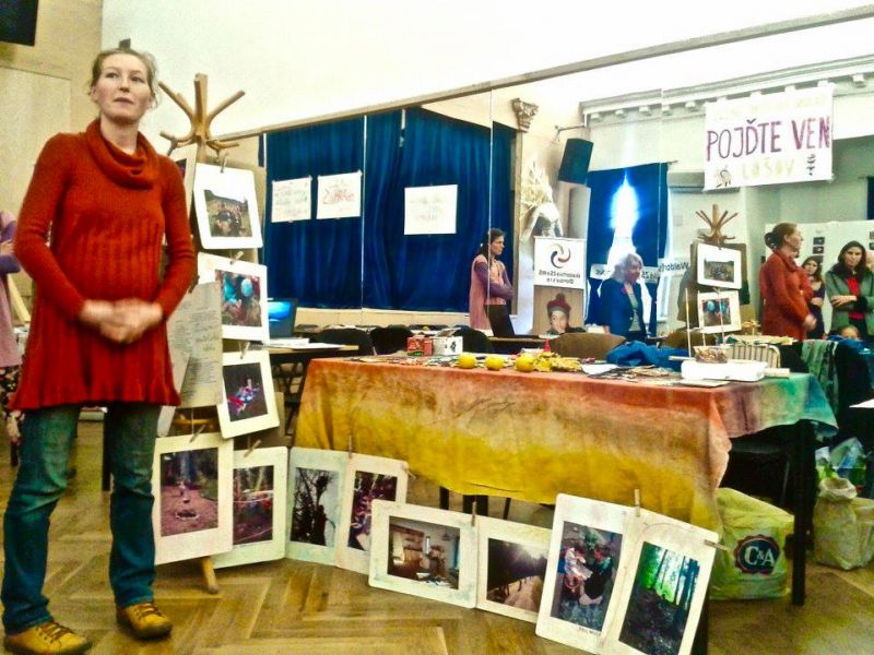 Festival je přehlídkou desítek vzdělávacích zařízení. Festival je přehlídkou desítek vzdělávacích zařízení.
