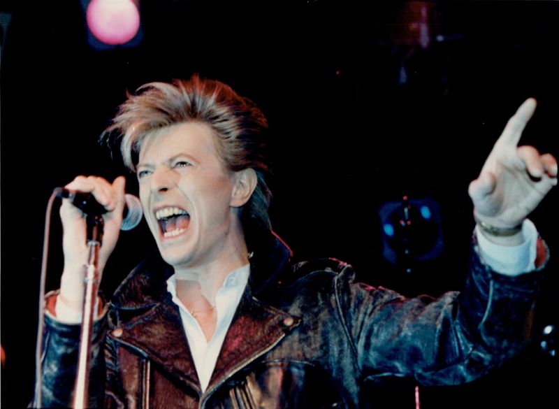 Čtvrteční koncert věnovaný Davidu Bowiemu byl beznadějně vyprodaný. 