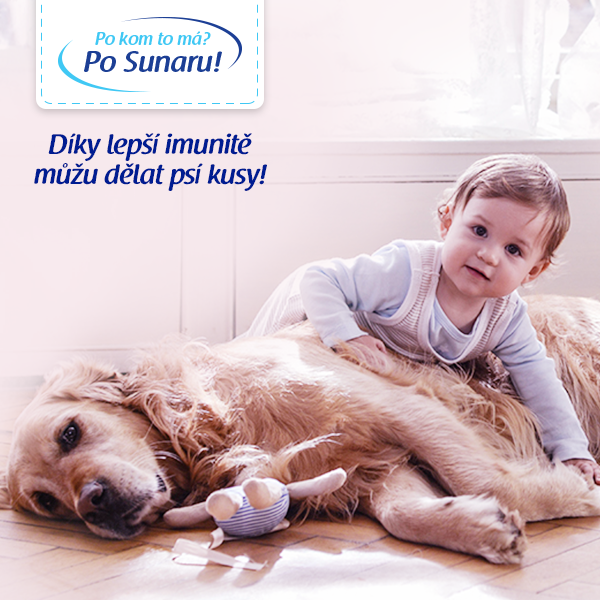 bez popisku 806226