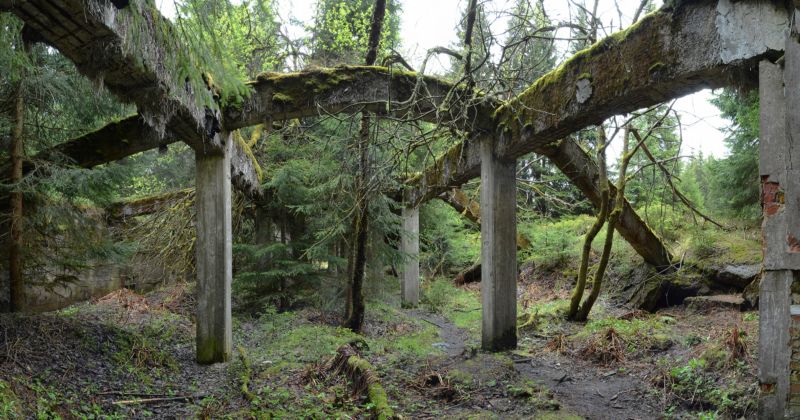Strašidelný les. Archeology nezajímá jen pravěk. Tyto hororově působící ruiny zaniklého rudného dolu a zajateckého tábora v Rolavě (Sauersack) jsou z II. světové války. A před očima turistů se mění v archeologické naleziště.