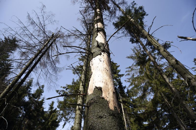 Ilustrační foto.