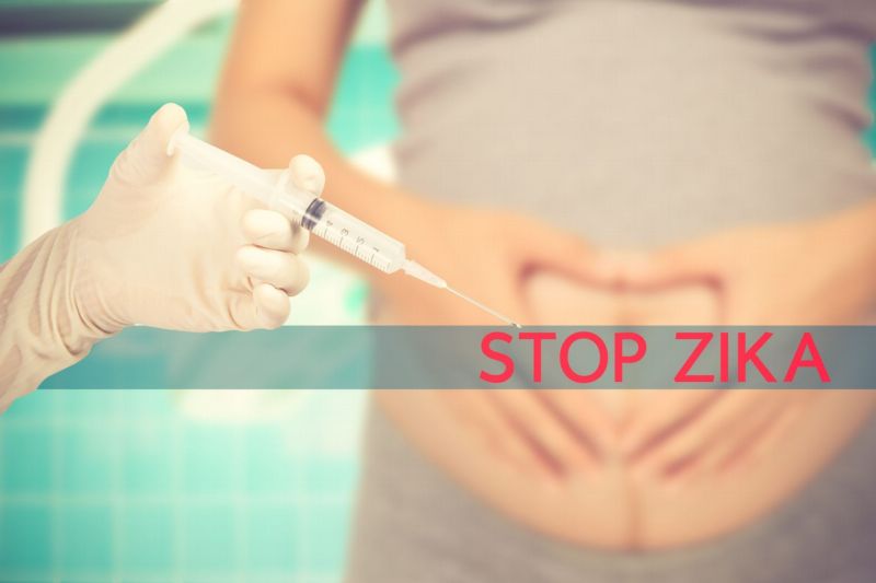 Zika (ilustrační foto). Zika (ilustrační foto).