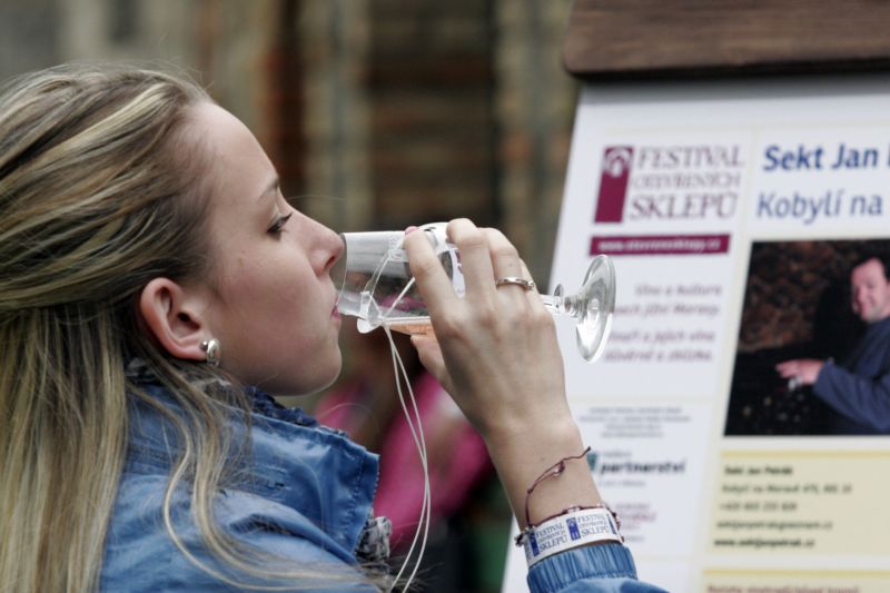 Festival otevřených sklepů se letos bude konat již po devatenácté.
