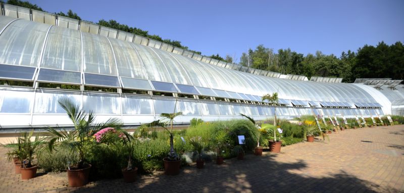 Skleník Fata Morgana vyšel botanickou zahradu na 200 milionů korun.