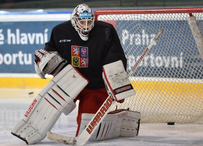 Pavel Francouz.