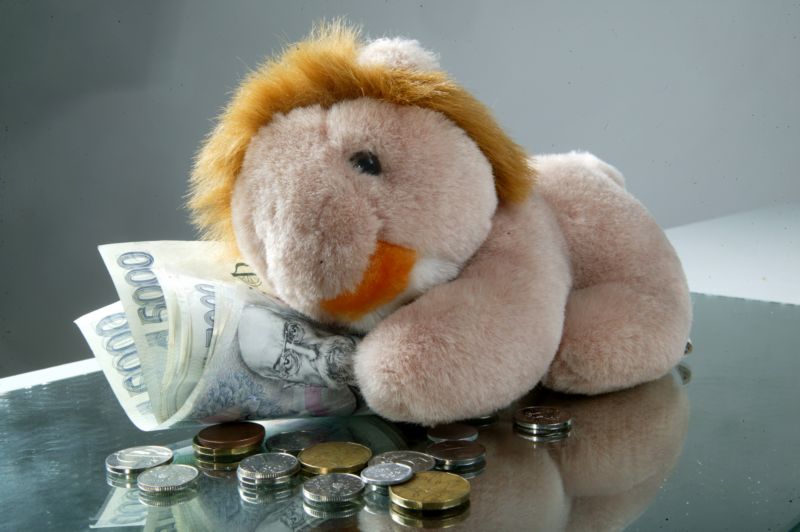 Peníze poslouží k nákupu zdravotních pomůcek či k financování volnočasových aktivit dětí (ilustrační foto).
