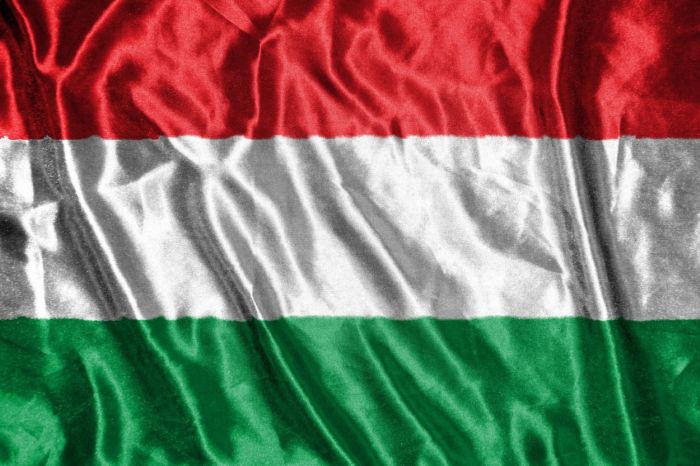 Redakce nechce mít nic společného s Viktorem Orbánem. 