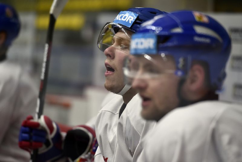 David Pastrňák. 