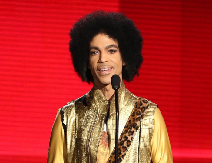 Zesnulý americký zpěvák a multiinstrumentalista Prince.
