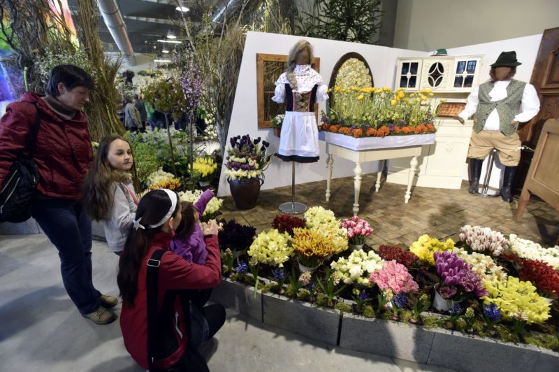 Čtyřicátý ročník výstavy Floria má mnoho obdivovatelů.