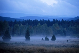 Národní park Šumava.