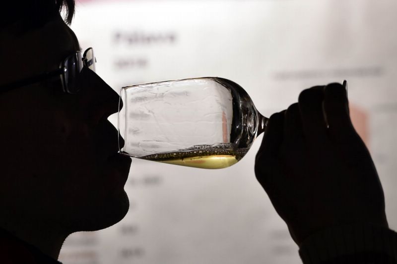 Degustace vín.
