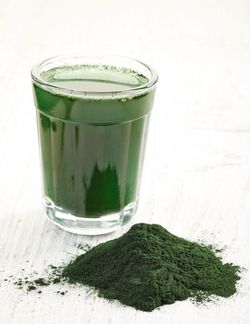 Nápoj - spirulina.