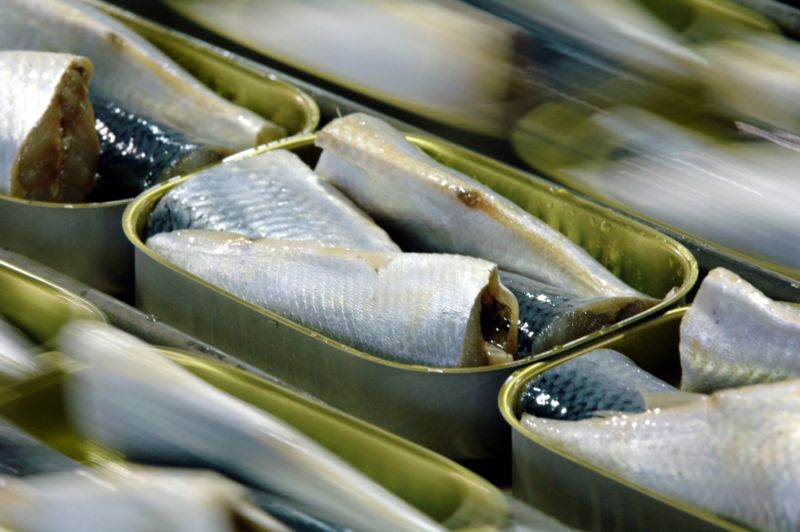 Sardinky (ilustrační foto).