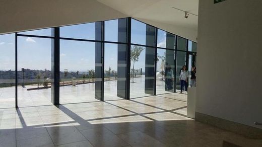 Ačkoli má muzeum prázdné sály, má už 40 zaměstnanců.