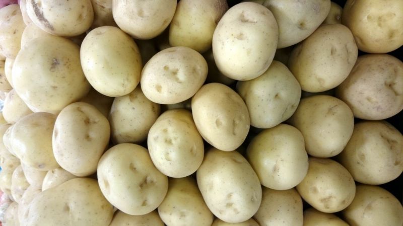 Brambory