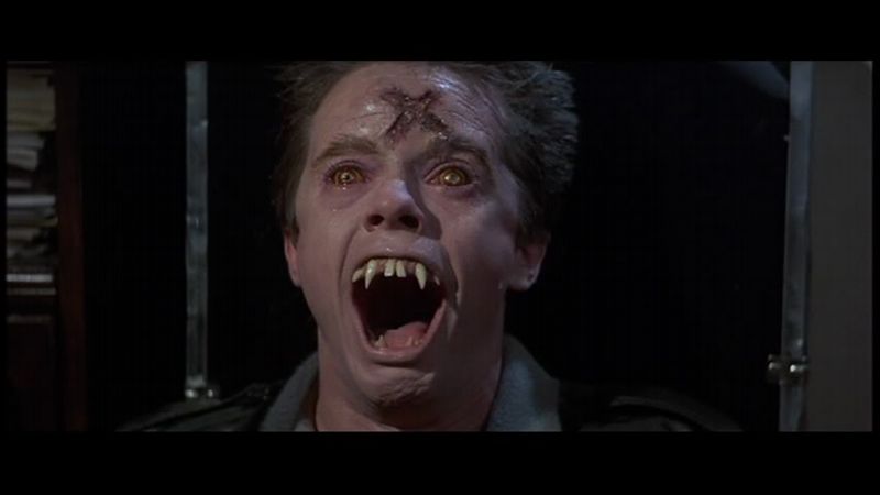 Horor Halloween - Noc hrůzy. 